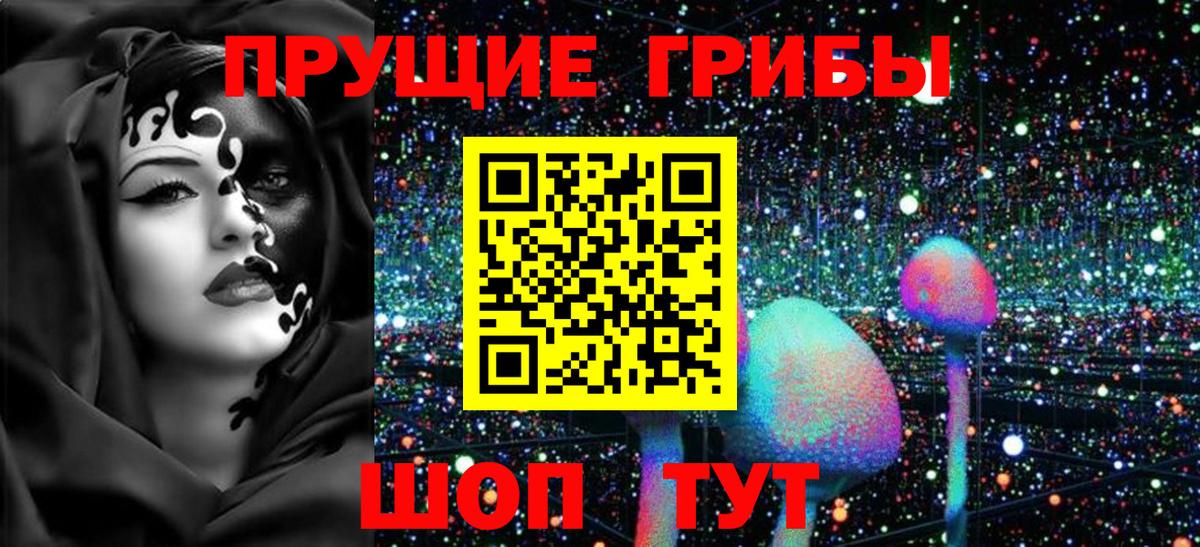 Псилоцибиновые грибы прущие грибы  купить наркотик  Бердск  Галлюциногенные грибы GOLDEN TEACHER  Вход с VPN 